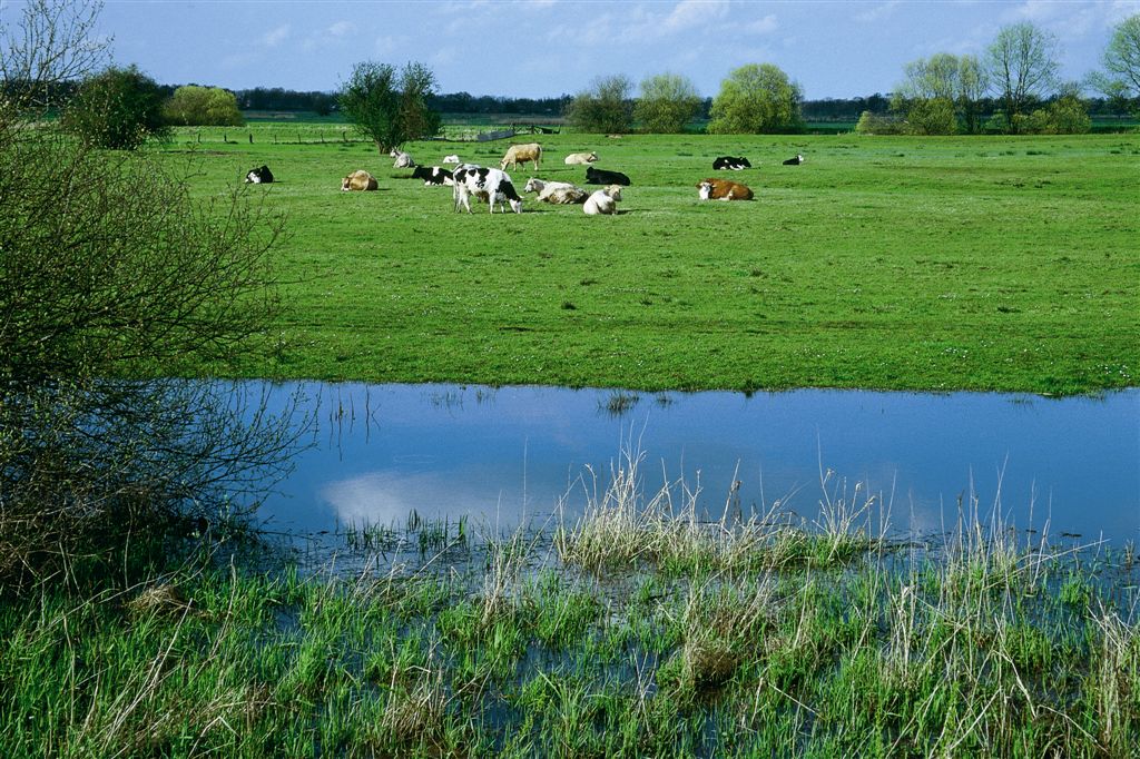 Naturpark Märkische Schweiz - Junior Ranger