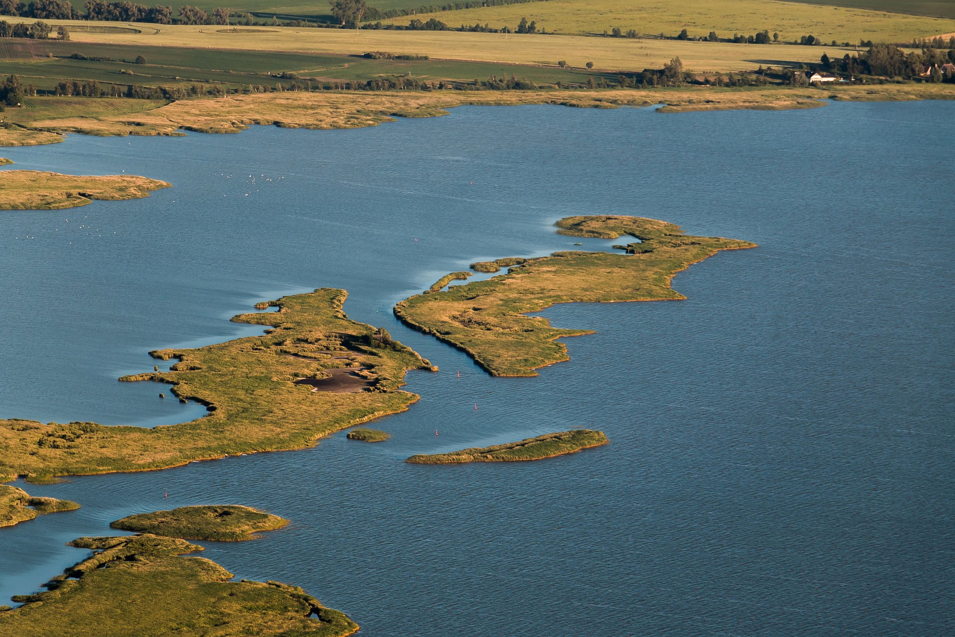 Bodden Junior Ranger