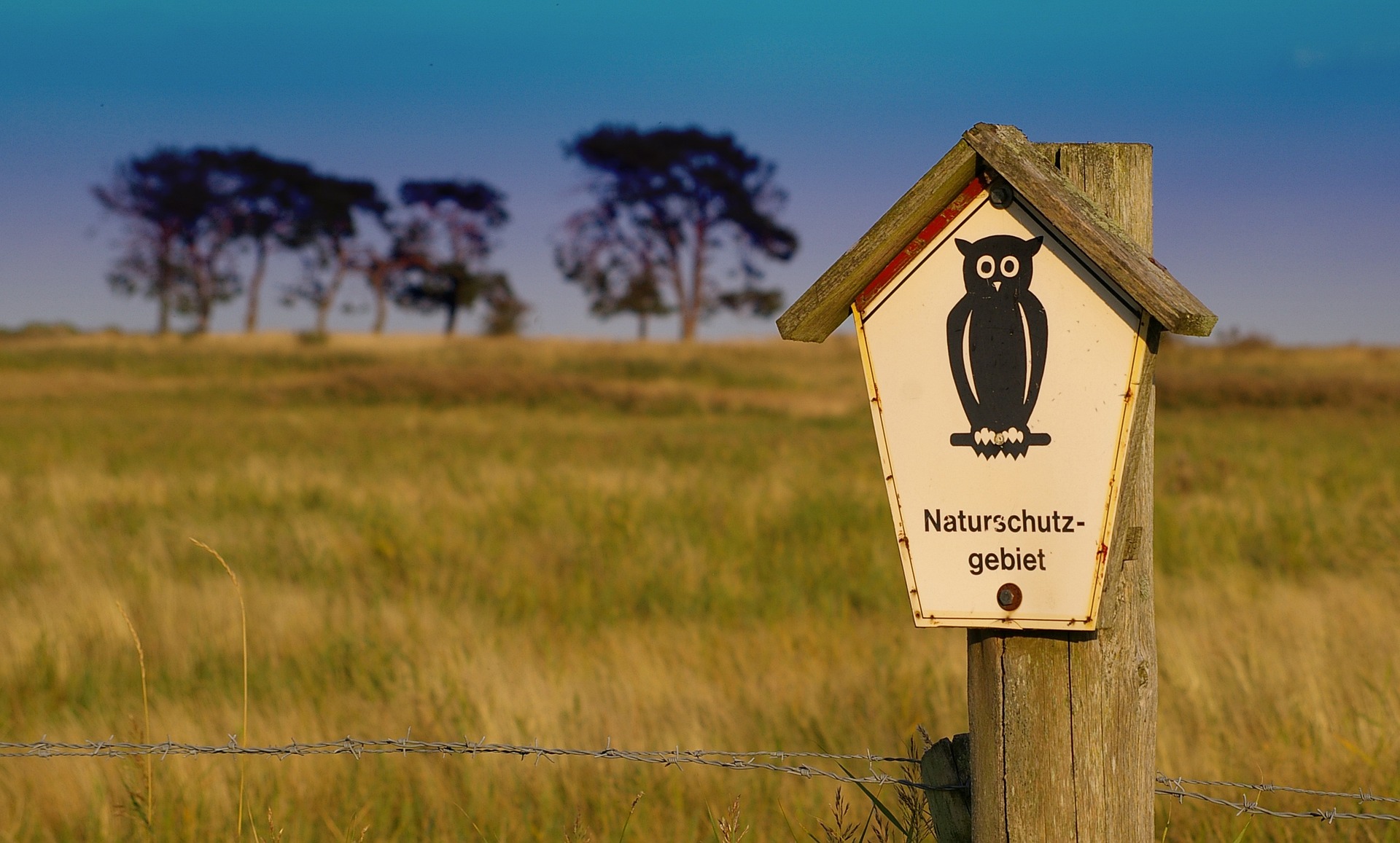 Naturschutzeule Junior Ranger